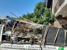 Best Hoarding Cleanup  in Abram, TX
